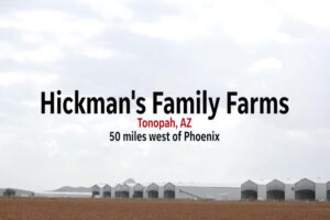 Read more about the article VIDEO: Is the Smell from Hickman’s Egg Farms Harmful?