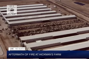 Read more about the article Tragic 2021 Fire at Hickman’s Family Farms: A Call to Action for Tonopah