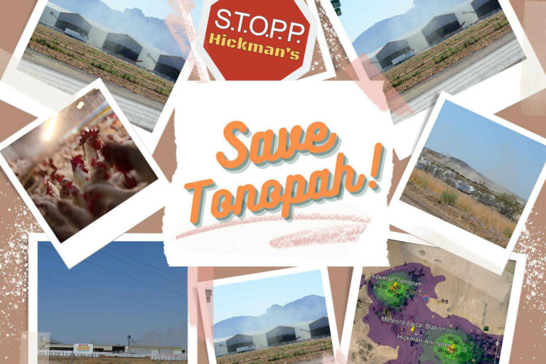 Read more about the article Opposition to Hickman’s Egg Farm in Tonopah, AZ Grows