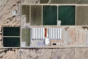 Read more about the article Unpacking the Dark Side of Hickman’s Eggs: A Call for Accountability