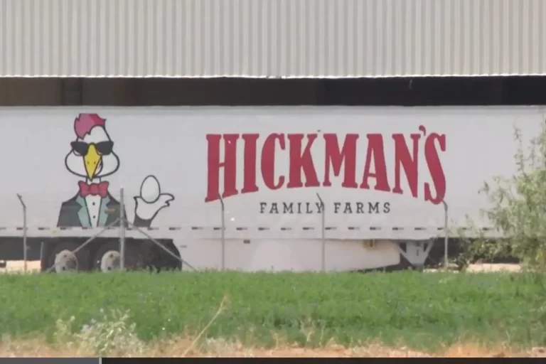 Read more about the article Hickman’s Egg Farm Faces Scrutiny Over Insensitive Cartoon and Lack of Transparency Amid Bird Flu Crisis