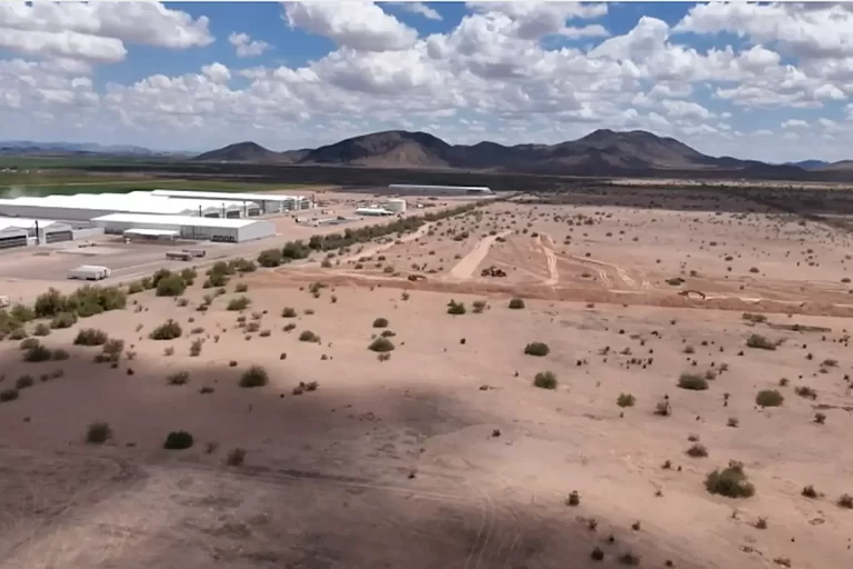 Read more about the article Hickman’s Egg Farm Bird Flu Crisis: Mass Chicken Burials in Tonopah Spark Community Outrage