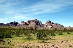 Read more about the article Protecting Tonopah’s Well Water: Understanding the Risks of Mass Poultry Burial